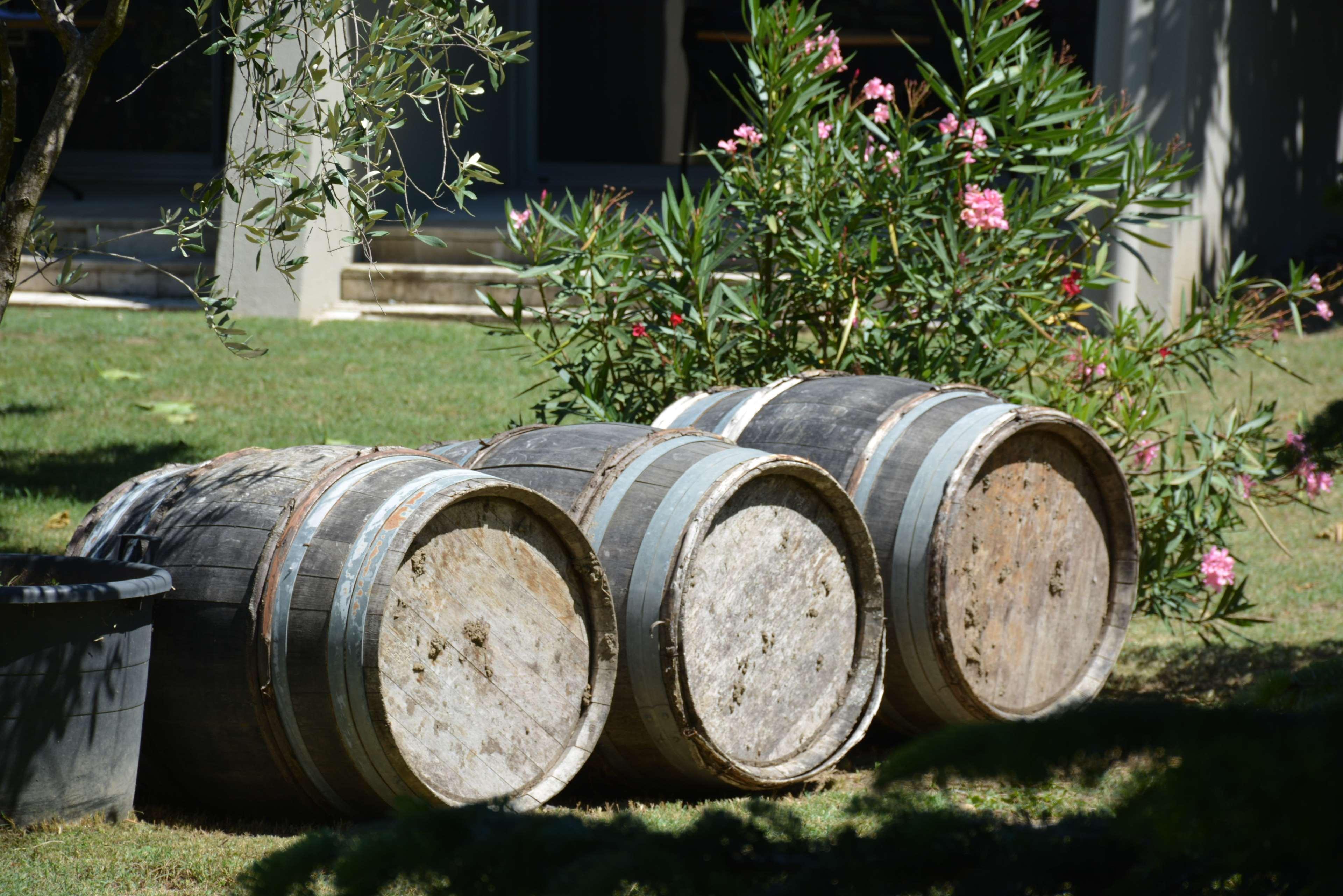 Best Western Plus Clos Syrah Βαλένς Εξωτερικό φωτογραφία